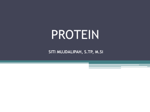 protein - WordPress.com