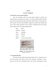 BAB II KAJIAN TEORETIS 2.1 Ikan Nike (Awaous melanocephalus
