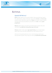 Retina - Klinik Mata Nusantara