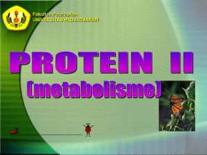 Protein 2_Biokimia 2011