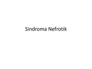 Sindroma Nefrotik - S1 Keperawatan UMM