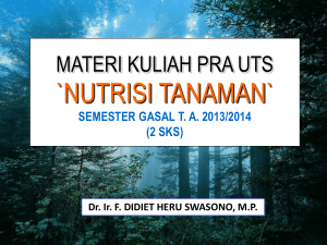 unsur hara p (fosfor) materi kuliah nutrisi tanaman beberapa catatan