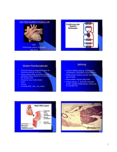 sistem kardiovaskular