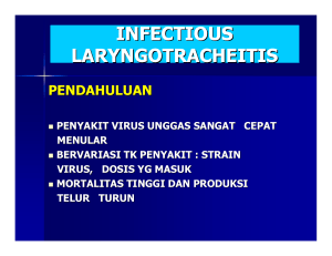 infectious laryngotracheitis