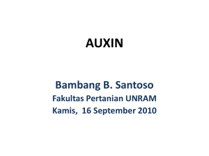 Bambang B. Santoso - Fakultas Pertanian UNRAM