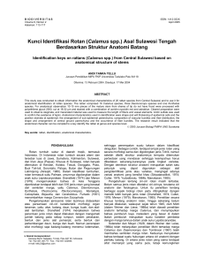 Kunci Identifikasi Rotan (Calamus spp.) Asal