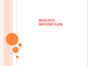 biologi molekuler