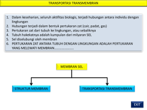 transpor transmembran