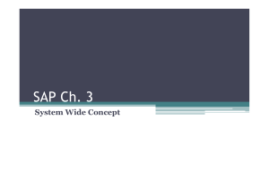 SAP - System Wide Concept