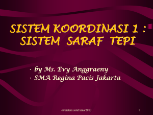 sistem saraf - Pendidikan Karakter