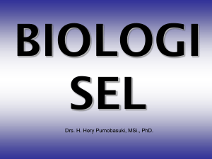 Biologi Sel-01
