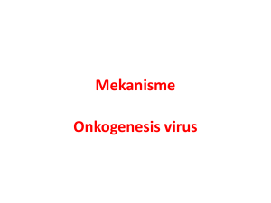 Mekanisme Onkogenesis virus