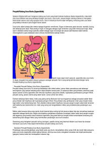 Penyakit Radang Usus Buntu (Appendicitis)