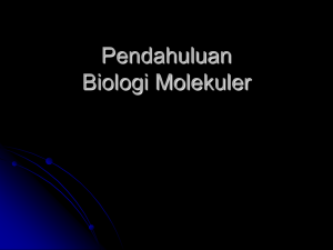 Introduction Biology Molecular
