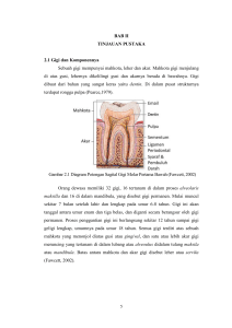 BAB II TINJAUAN PUSTAKA 2.1 Gigi dan