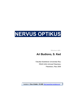 nervus optikus - WordPress.com