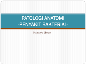 patologi anatomi peny bakterial