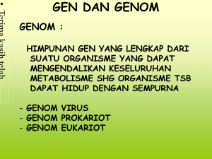 Genom, Ekspresi Gen File - E