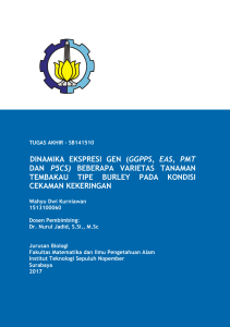 dinamika ekspresi gen (ggpps, eas, pmt dan p5cs - Repository