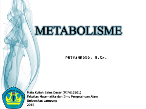 Kimia – Metabolisme (Fotosintesis dan Respirasi Sel)