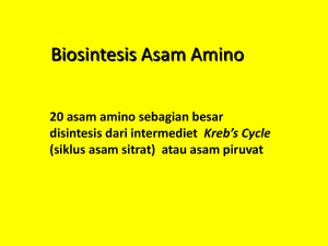 Metabolisme Asam Amino