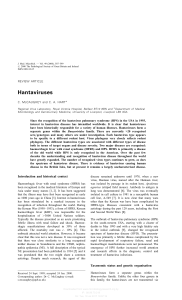 Hantaviruses - Journal of Medical Microbiology