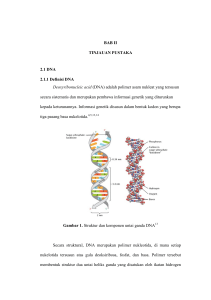 DNA - Eprints undip