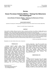 Review Hewan Percobaan Diabetes Mellitus