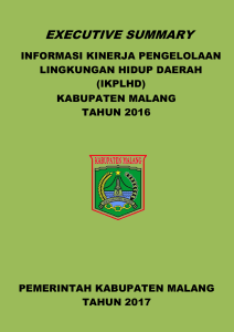 executive summary - Kabupaten Malang