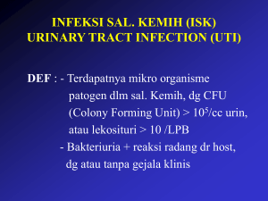 INFEKSI SAL. KEMIH (ISK) URINARY TRACT INFECTION (UTI)