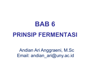 BAB 6 - Prinsip Fermentasi