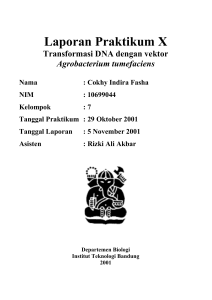 Laporan Praktikum X