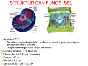 struktur dan fungsi sel