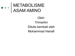 METB. PROTEIN DAN ASAM AMINO