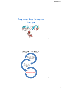 Pengenalan antigen : Immunoglobulin