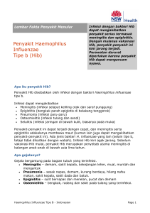 Penyakit Haemophilus Influenzae Tipe b (Hib)