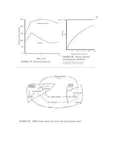 Glukosa darah As. Laktat darah As. Piruvat Alanin Otot Hepar G 6P