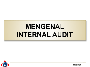 mengenal internal audit