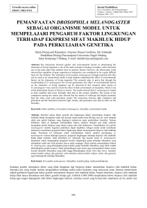 IEEE Paper Template in A4 (V1) - Jurnal UM