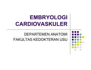 embryologi cardiovaskuler