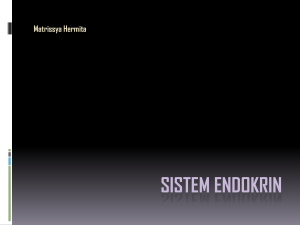 sistem endokrin - matrissya hermita