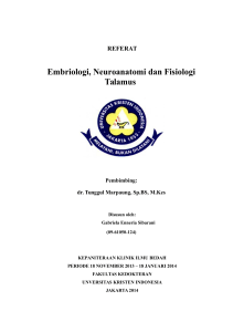 REFERAT Embriologi, Neuroanatomi dan Fisiologi Talamus
