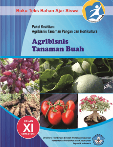 agribisnis tanaman buah xi-3