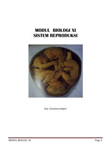 modul biologi xi sistem reproduksi
