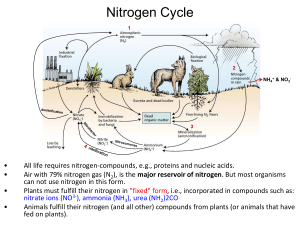 nitrogen - Retno Mastuti