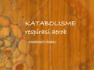 katabolisme - Kamrianti Ramli