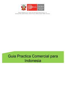 Guia Practica Comercial para Indonesia