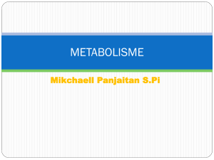 6. metabolisme protein