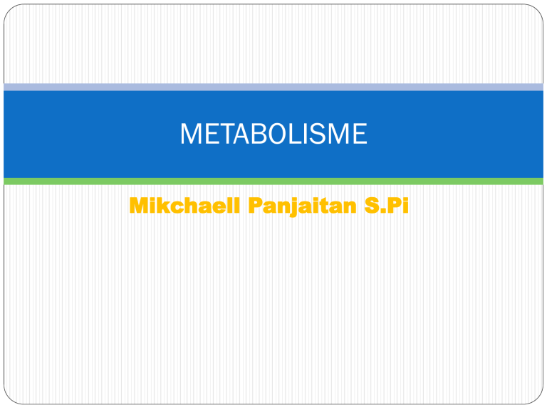 6 Metabolisme Protein