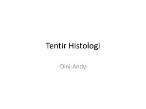 Tentir Histologi